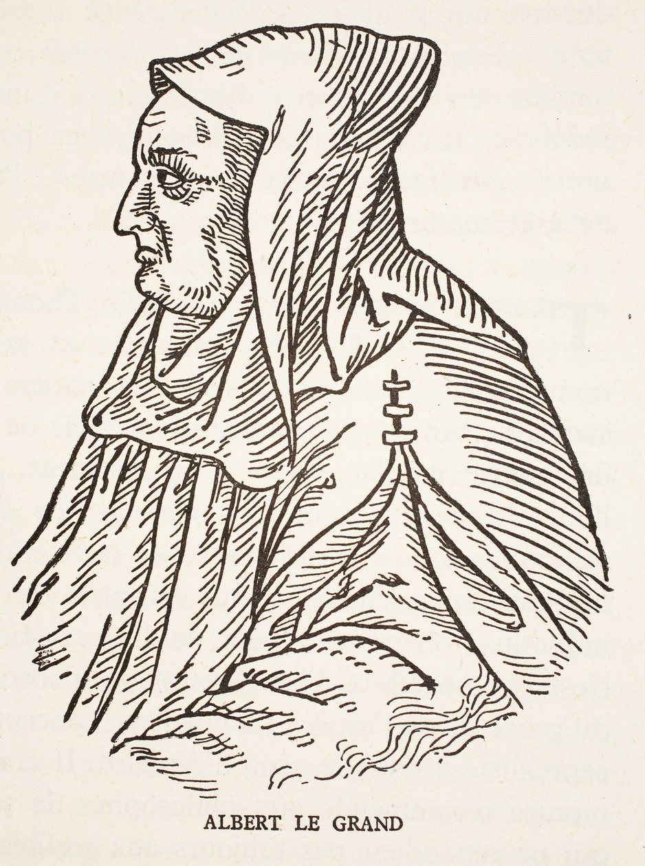 Albert Veliký od French School