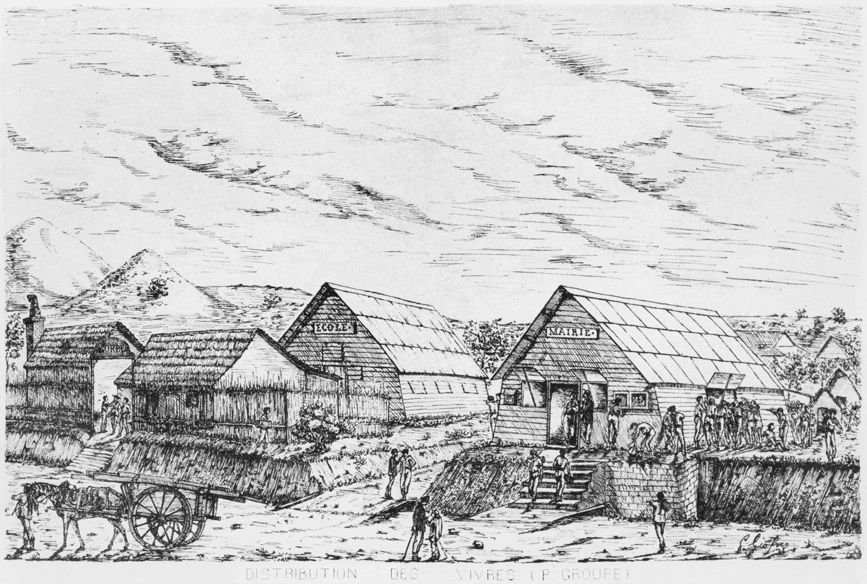 Album of the Isle of Pines, Distribuce zásob, 1878-79 od French School
