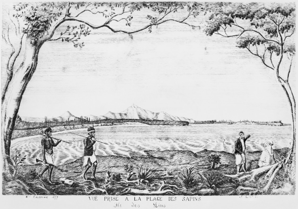Album Isle of Pines, pohled z pláže Pines, 1877 od French School
