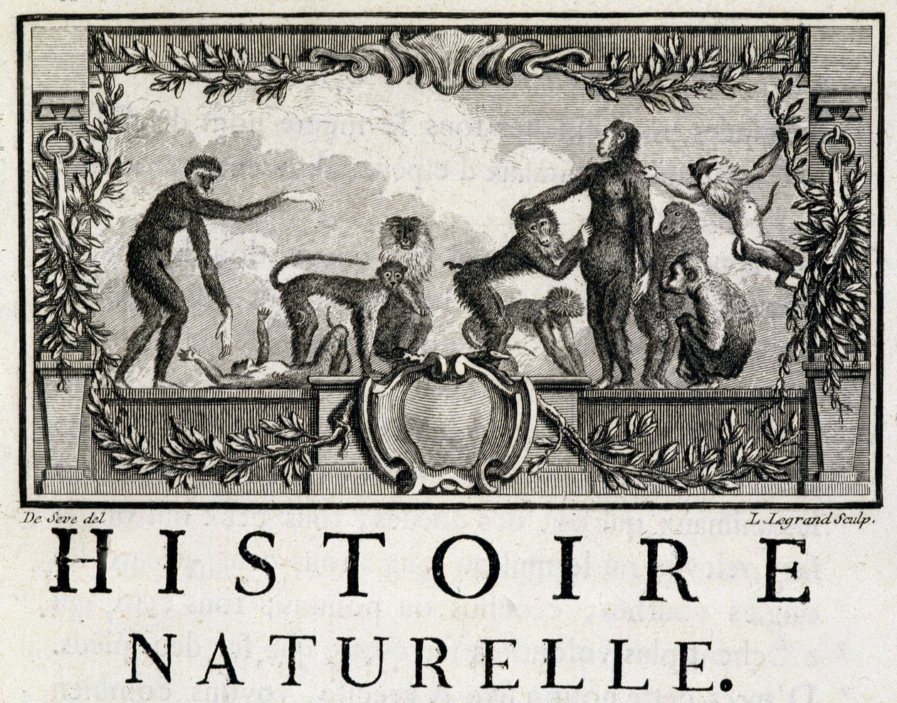 Alegorie přírodní historie na lidoopech – v „“Přírodní, obecné a partikulární historii““ od Buffona od French School