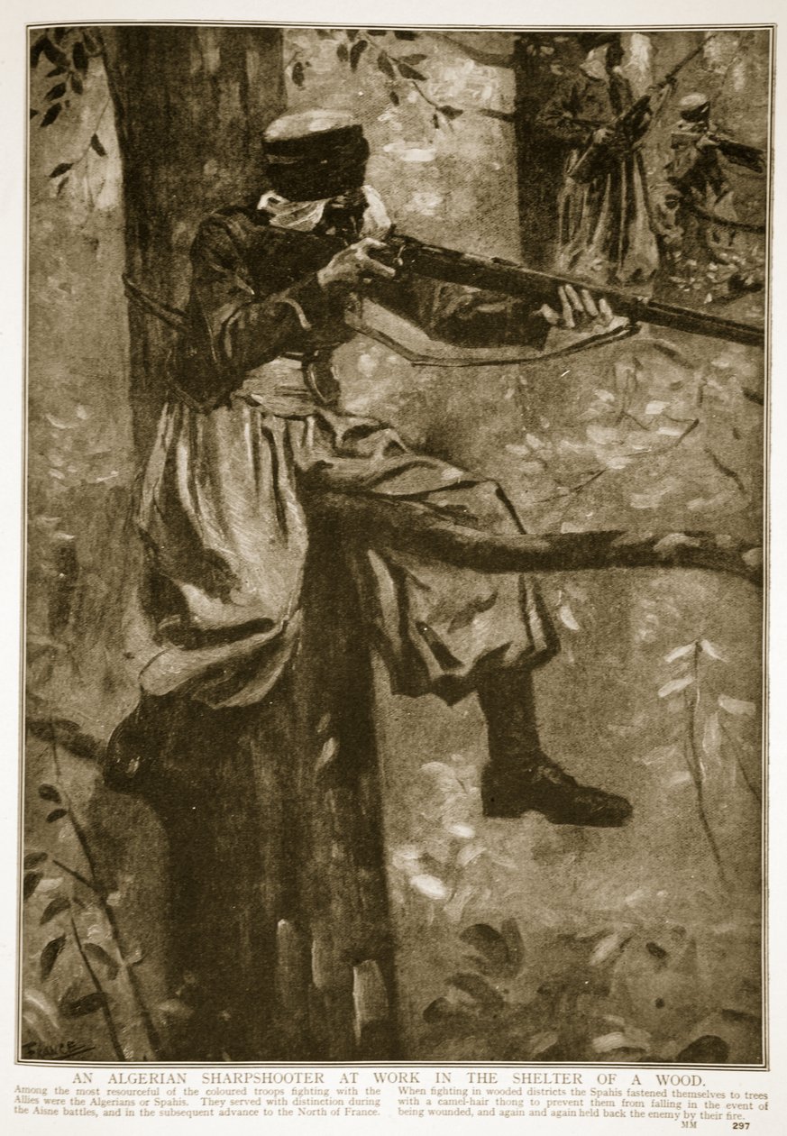 Alžírský ostrostřelec při práci v úkrytu v lese, 1914-19 od French School