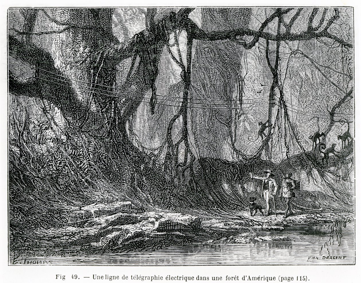 Elektrická telegrafní linka v americkém lese, kolem roku 1870 (rytina) od French School