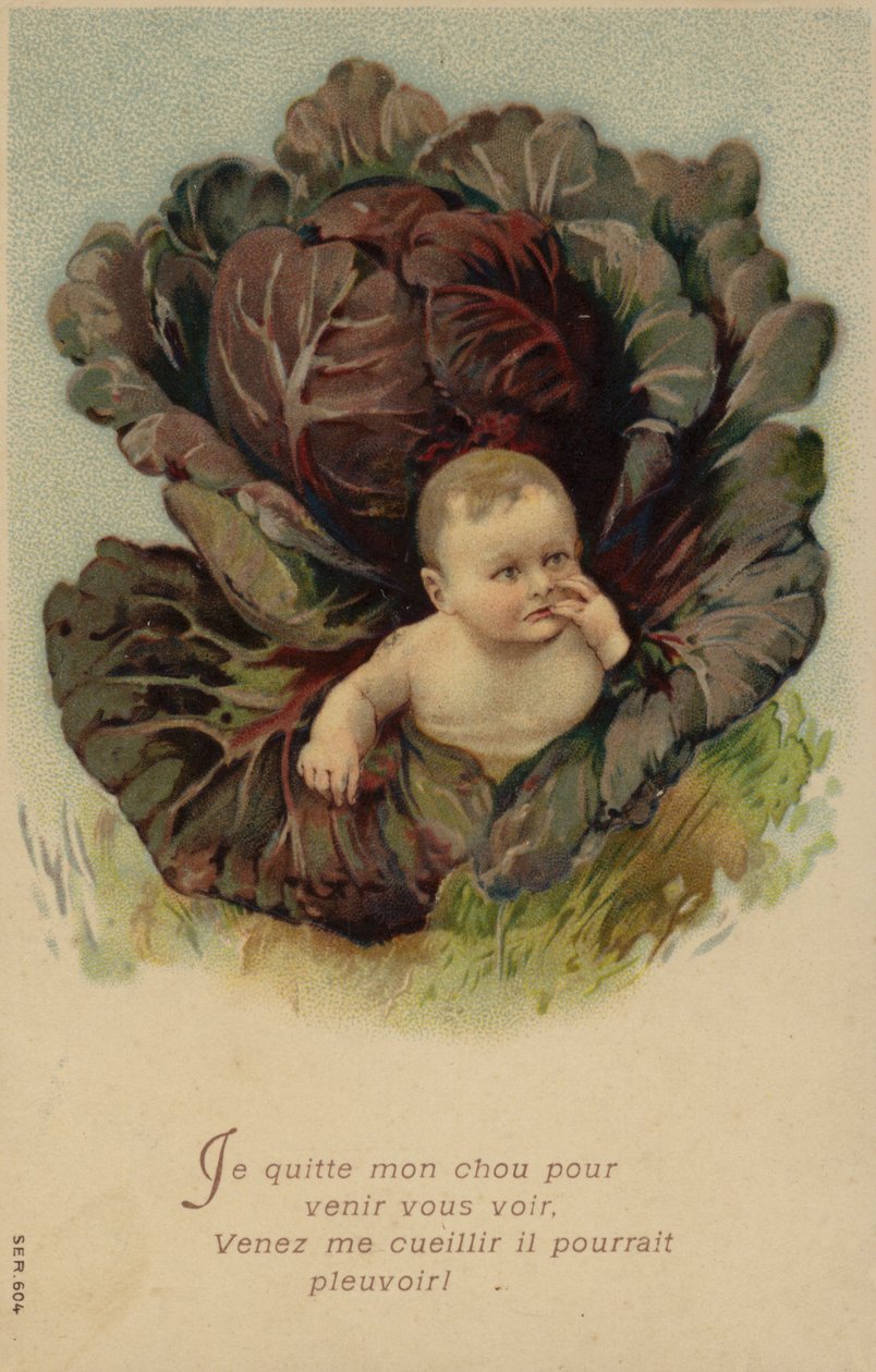 Mládě vyrůstající ze zelí (chromolit) od French School