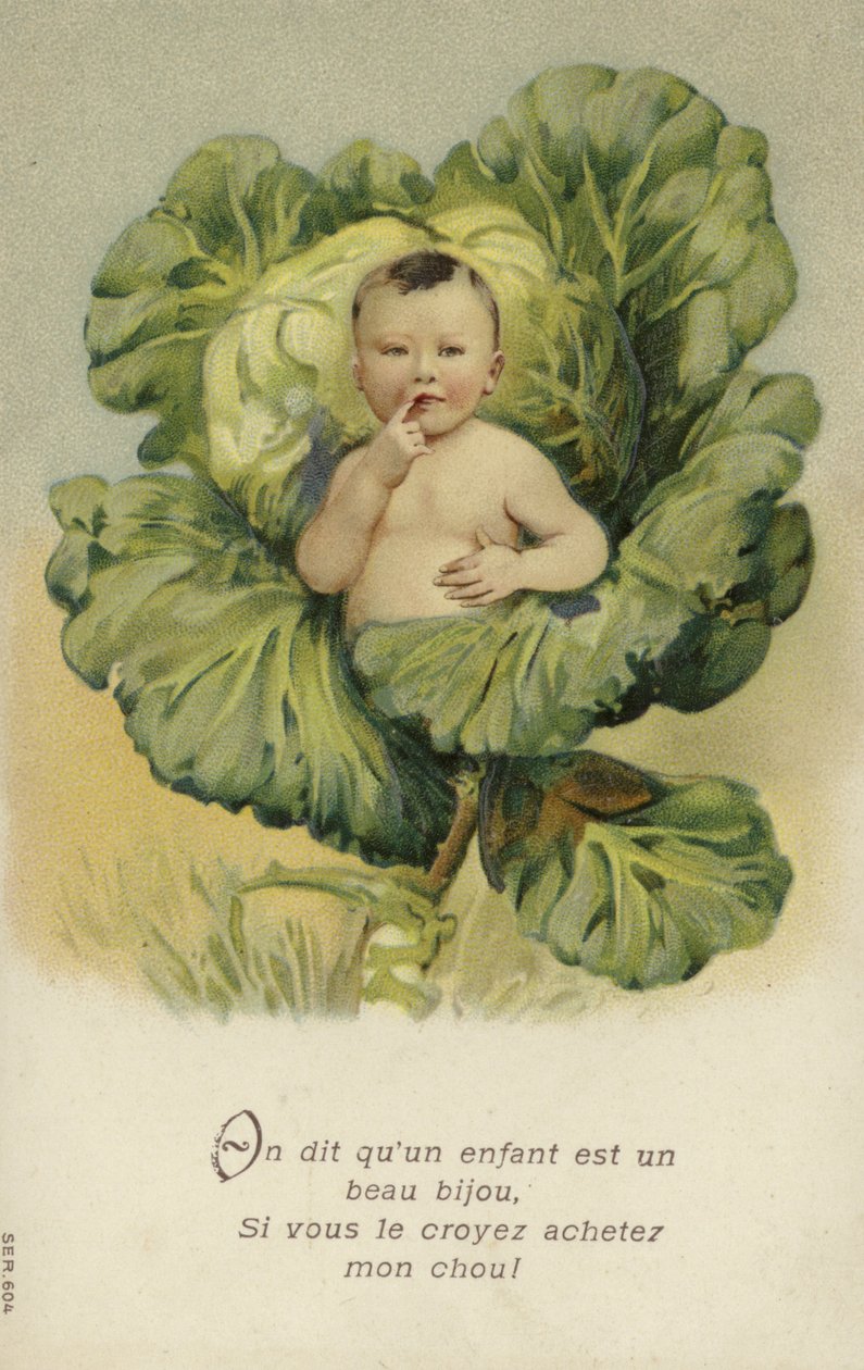 Dítě v zelí (chromolit) od French School