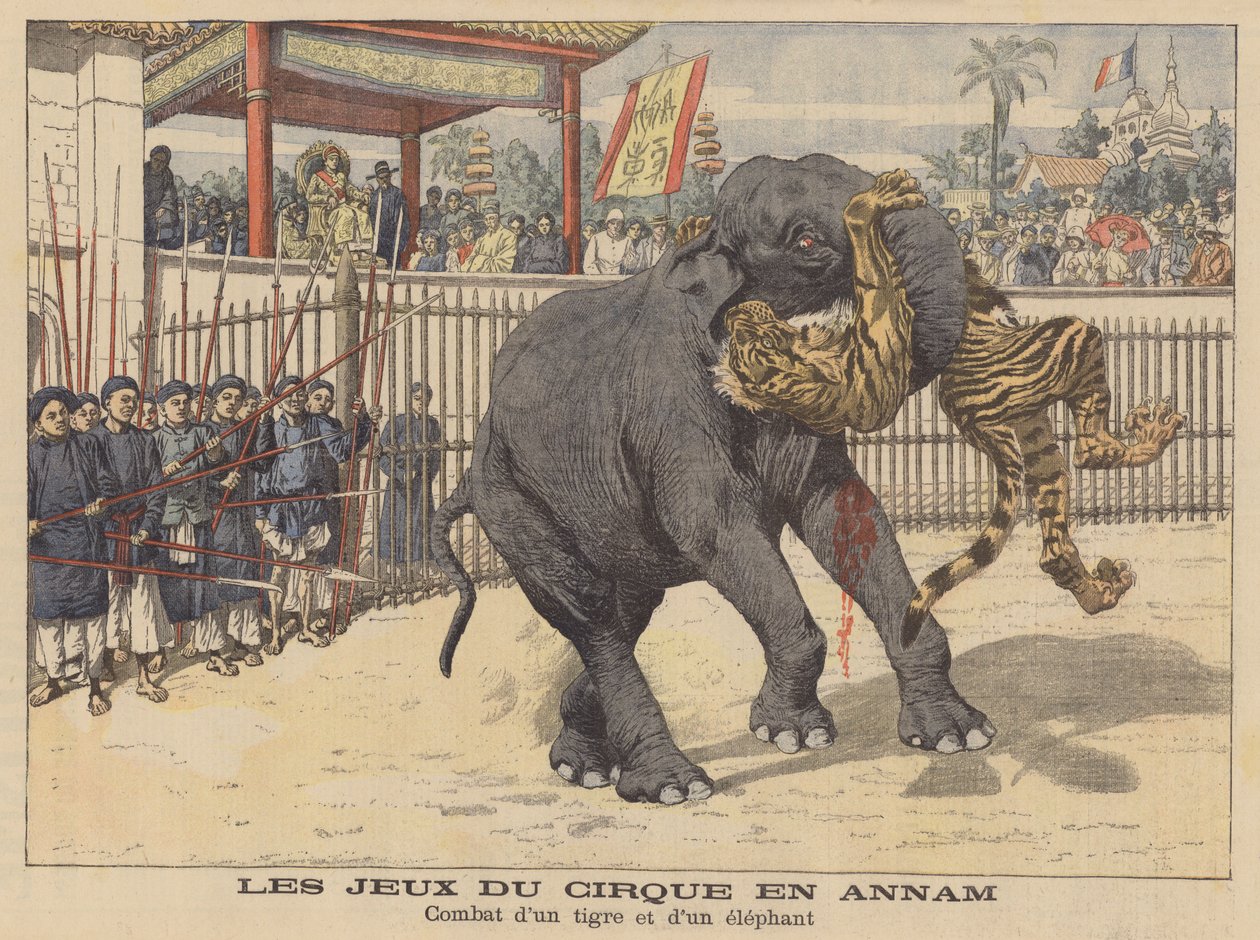 Souboj slona a tygra v cirkuse v Annamu v Indočíně (barevná litografie) od French School
