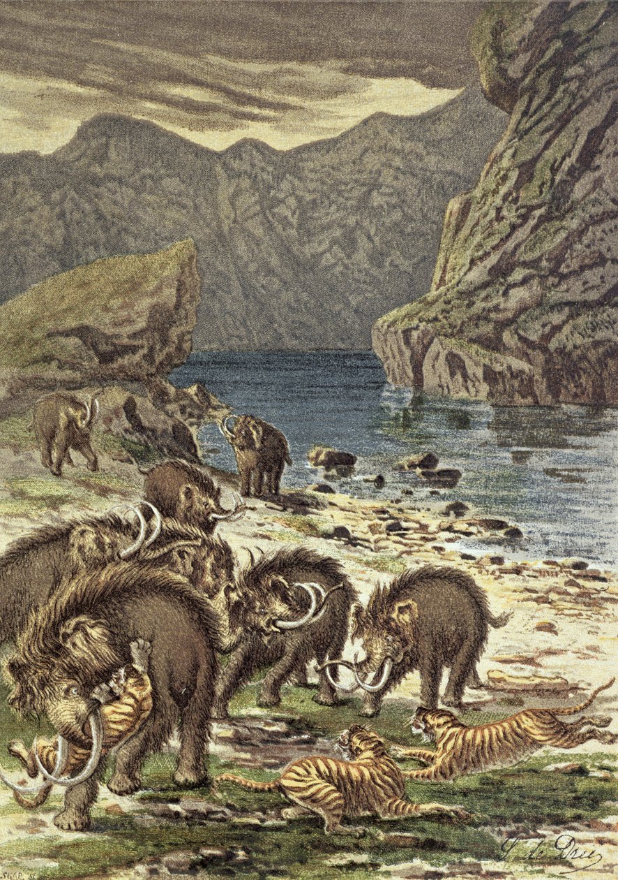 Bitva mezi mamuty a šavlozubými tygry, z Le Monde Avant la Creation dHomme od Camille Flammarion, 1886 od French School