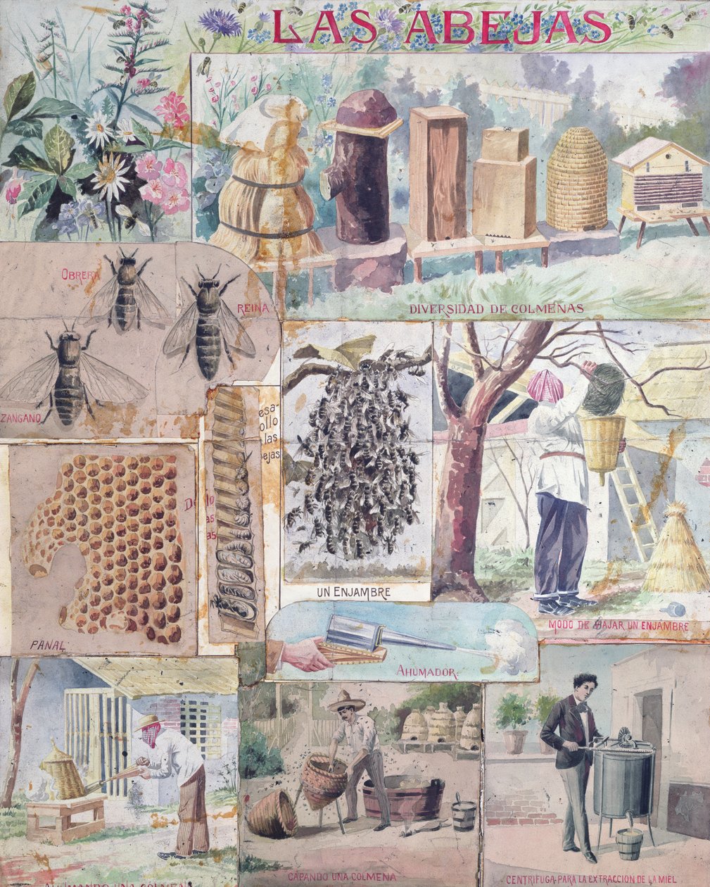 Bee Culture, ilustrace vyrobená ve Francii určená k publikaci v Mexiku, c. 1900 od French School
