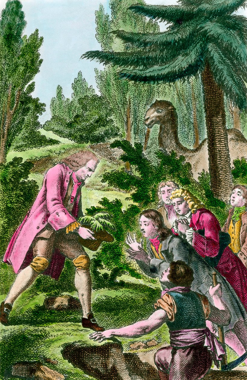 Bernard de Jussieu (1699-1777) sázející cedr z Libanonu v zahradě rostlin v Paříži v roce 1734. Rytina z 18. století. od French School
