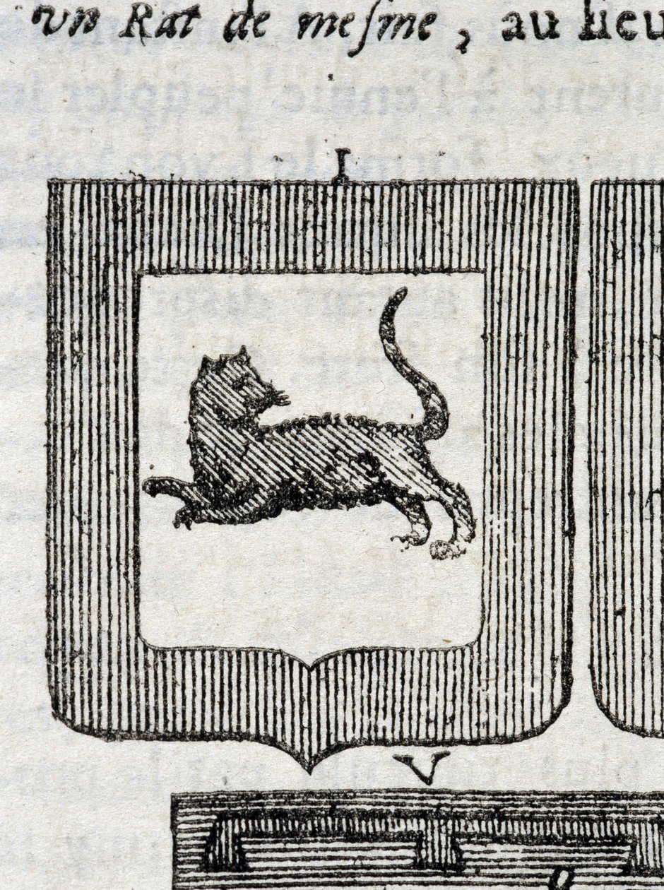 Blazon italského pěšího pluku v „“La Vraye a dokonalá věda o zbrani aneb Armorial Index”” od Pierra Palliota od French School