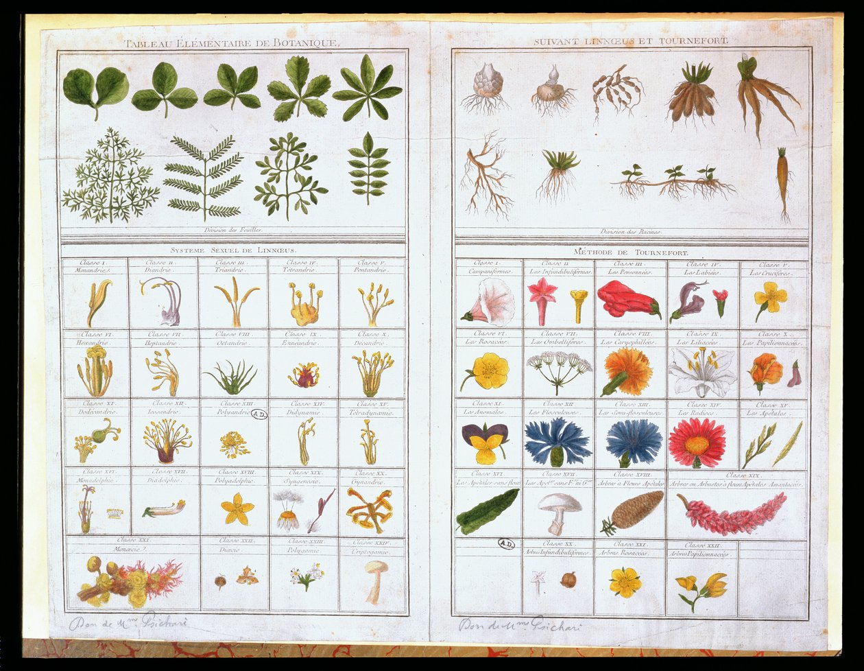 Botanický stůl podle Carla von Linna (1707-78) a podle Josepha Pittona de Tournefort (1656-1708), konec 18. století (barevná rytina) od French School