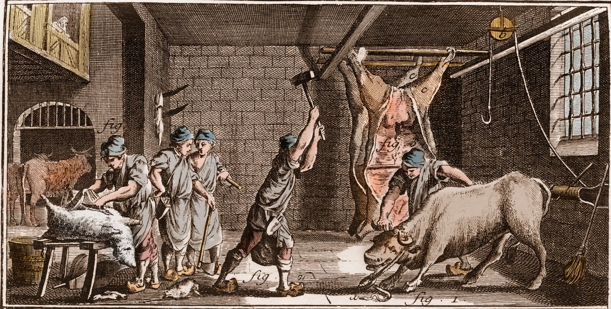 Boucher – Řeznictví – Řeznictví – „“ Velká encyklopedie nebo Dictionnaire Raisonne des Sciences, des Arts et des Metiers“ (Encyklopedie nebo Slovník věd, umění a povolání) od Denise Diderota (1713-1784) a Jean d