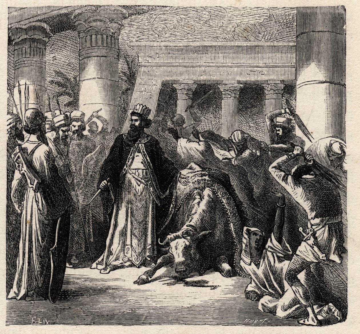 Cambyses II, vládce achajmenovských Peršanů zabíjí Apis, posvátného býka Egypťanů - Cambyses nebo Cambyse II (530-522 př. n. l.) rytina z „“ L