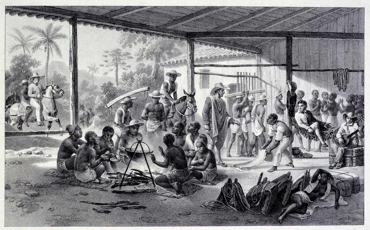Tábor negresů v Brazílii. Rytina z 19. století. Chartres, Muzeum výtvarných umění od French School