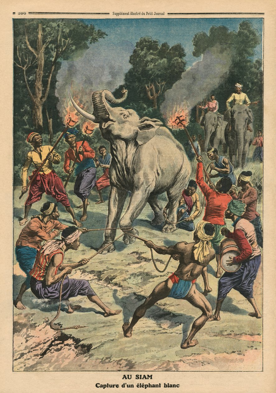 Chytání bílého slona v Siamu, ilustrace z 