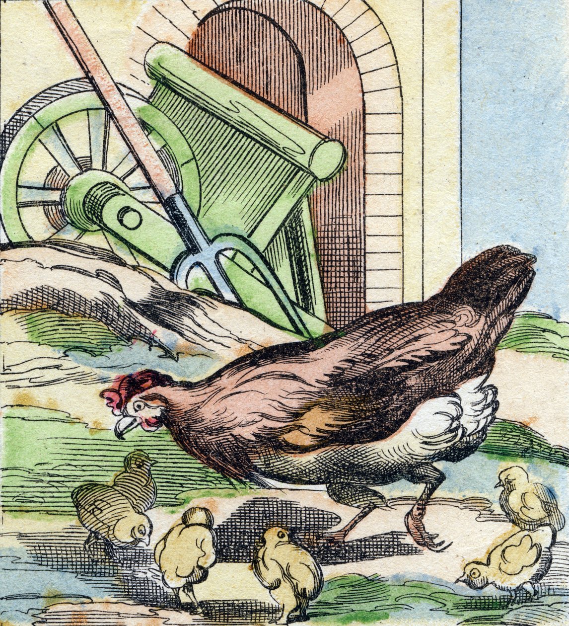 Kuře a kuřátka. Rytina "Buffon Alphabet des Oiseaux n 2". 3. série N 2. Zobrazování Epinalu, Epinal, konec 19. století. 16 stran. Rozměr: 28 x 21 cm od French School