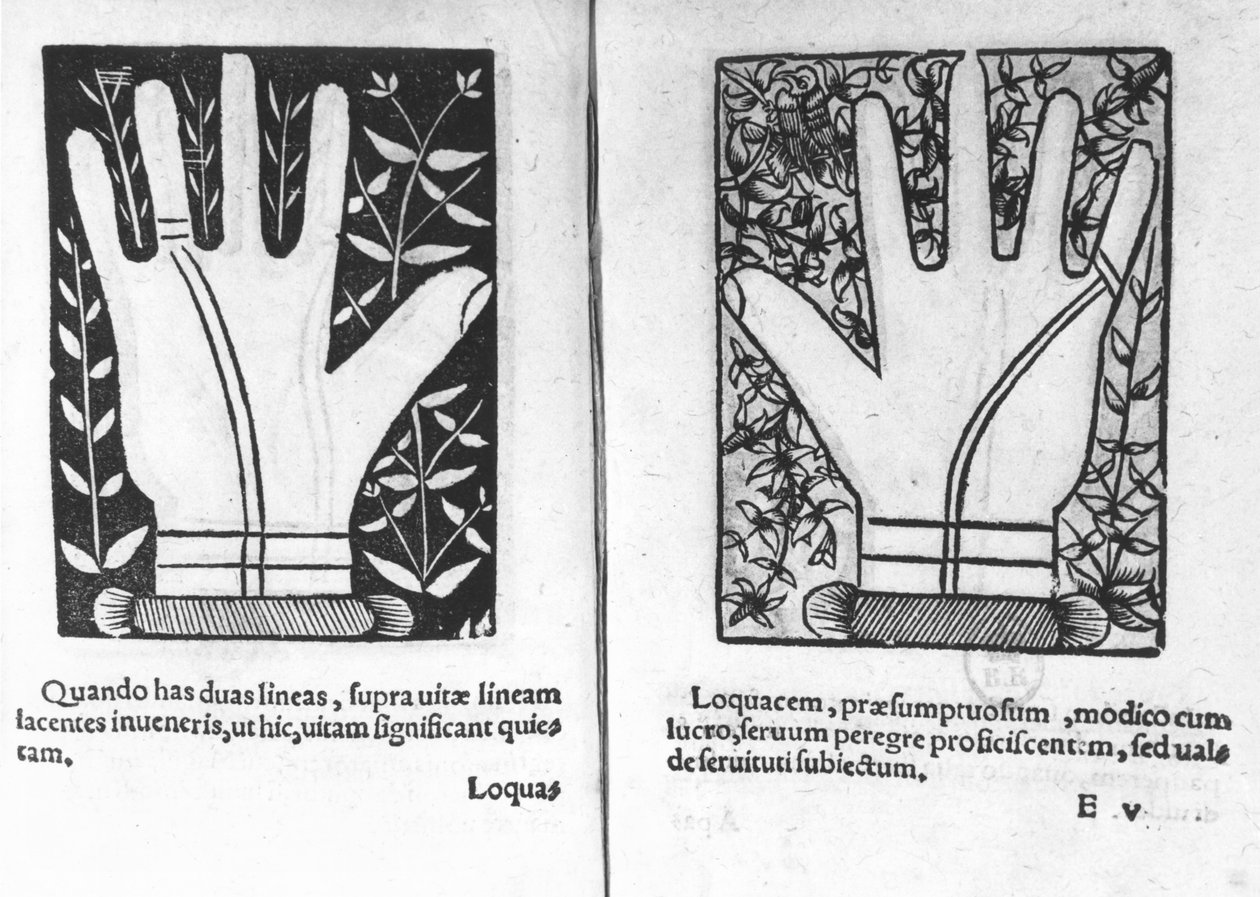 Chiromantické ruce, ilustrace z Chiromatiae Principiis ... Anastasis od Bartolommea della Rocca (Cocles) 1467-1504) 1555 od French School
