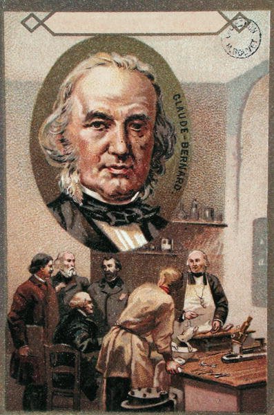 Claude Bernard (1813-78) (chromolitho) od French School