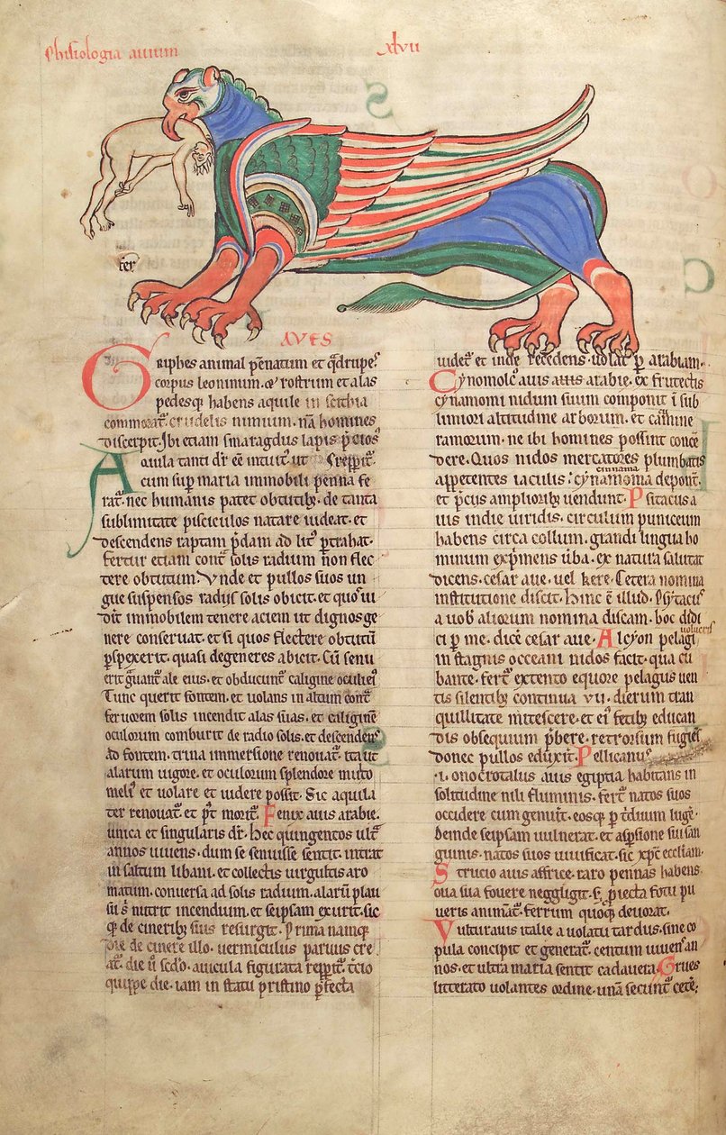 Treska. Guelf. 1 Gud. lat. 39v, Griffin Devouring a Man, z Liber Floridus od Lamberta de Saint-Omer c.1120 od French School