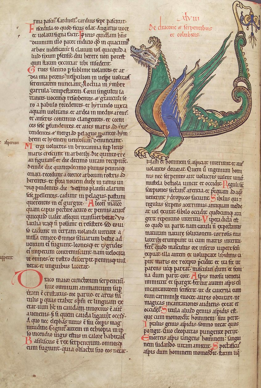 Treska. Guelf. 1 Gud. lat. 40v, text s ilustrací draka, z Liber Floridus od Lamberta de Saint-Omer c.1120 od French School