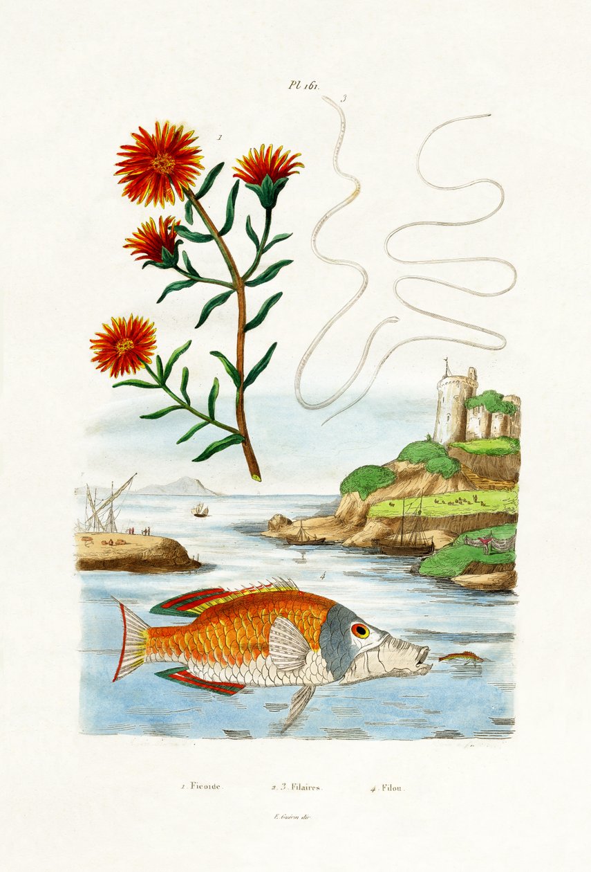 Coppers Hardy Ice Plant, 1833-39 od French School
