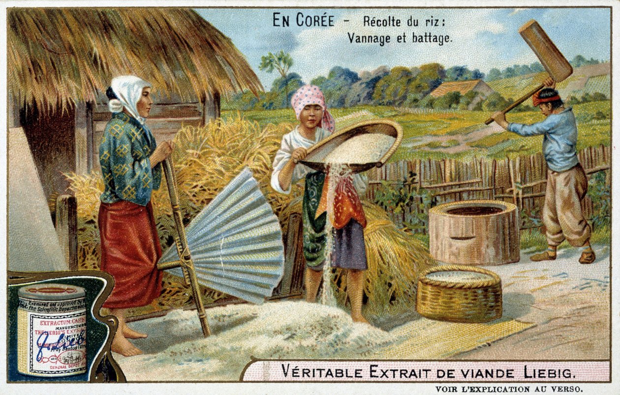 Jádro: sklizeň rýže, tkaní a mlácení - chromo. Liébig, v. 1900 od French School
