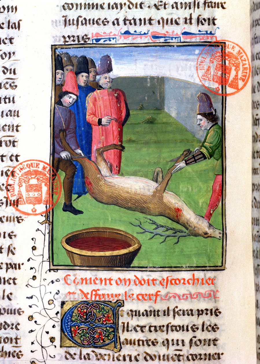 Řezání nohou mrtvého jelena, z knihy Livre de la Chasse od Gastona Phebuse de Foix (1331-91) od French School