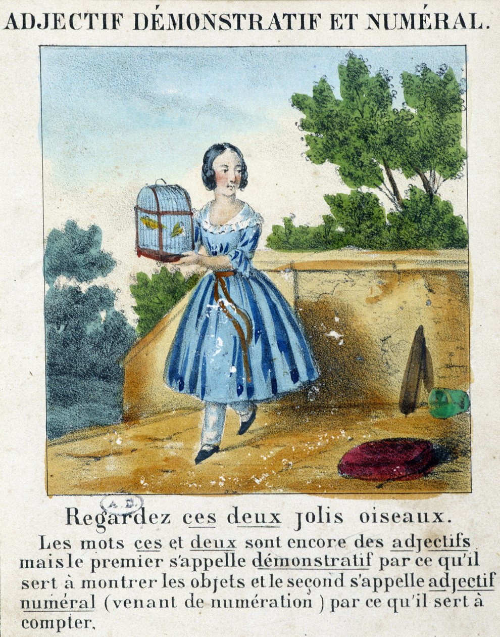 Demonstrativní a číselné přídavné jméno (dívka nesoucí klec se 2 ptáky) - v „“ La grammaire en images““ od French School