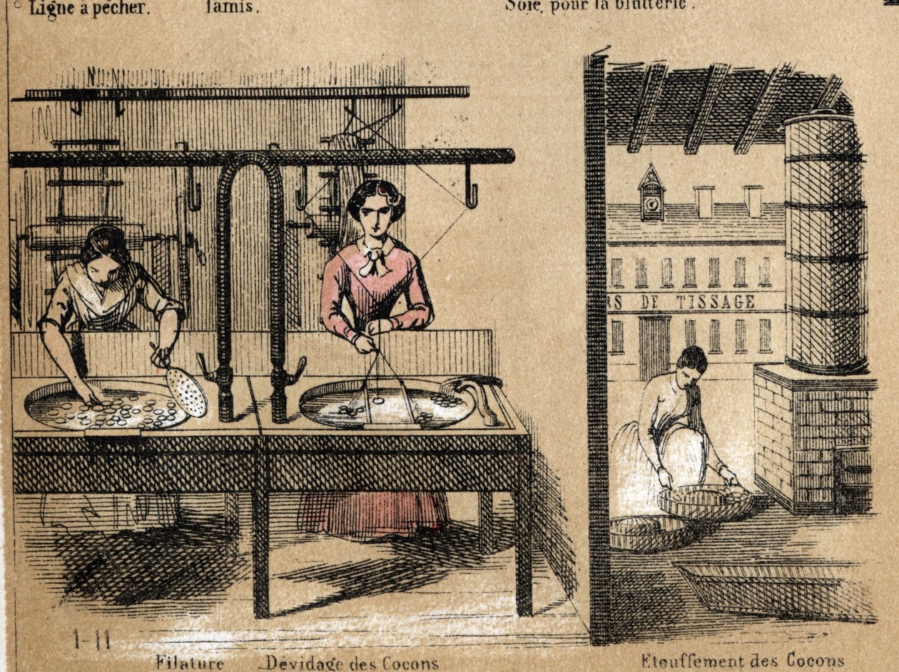 Popis plodiny a hedvábných produktů: pracovníci spřádají hedvábí, odstraňují nebo dusí kokony. Talíř “” la soie”” v “” les Recreations instructives”” Synoptický obraz od Julese DELBRUCKA, rytina z roku 1860. Soukromá sbírka. od French School