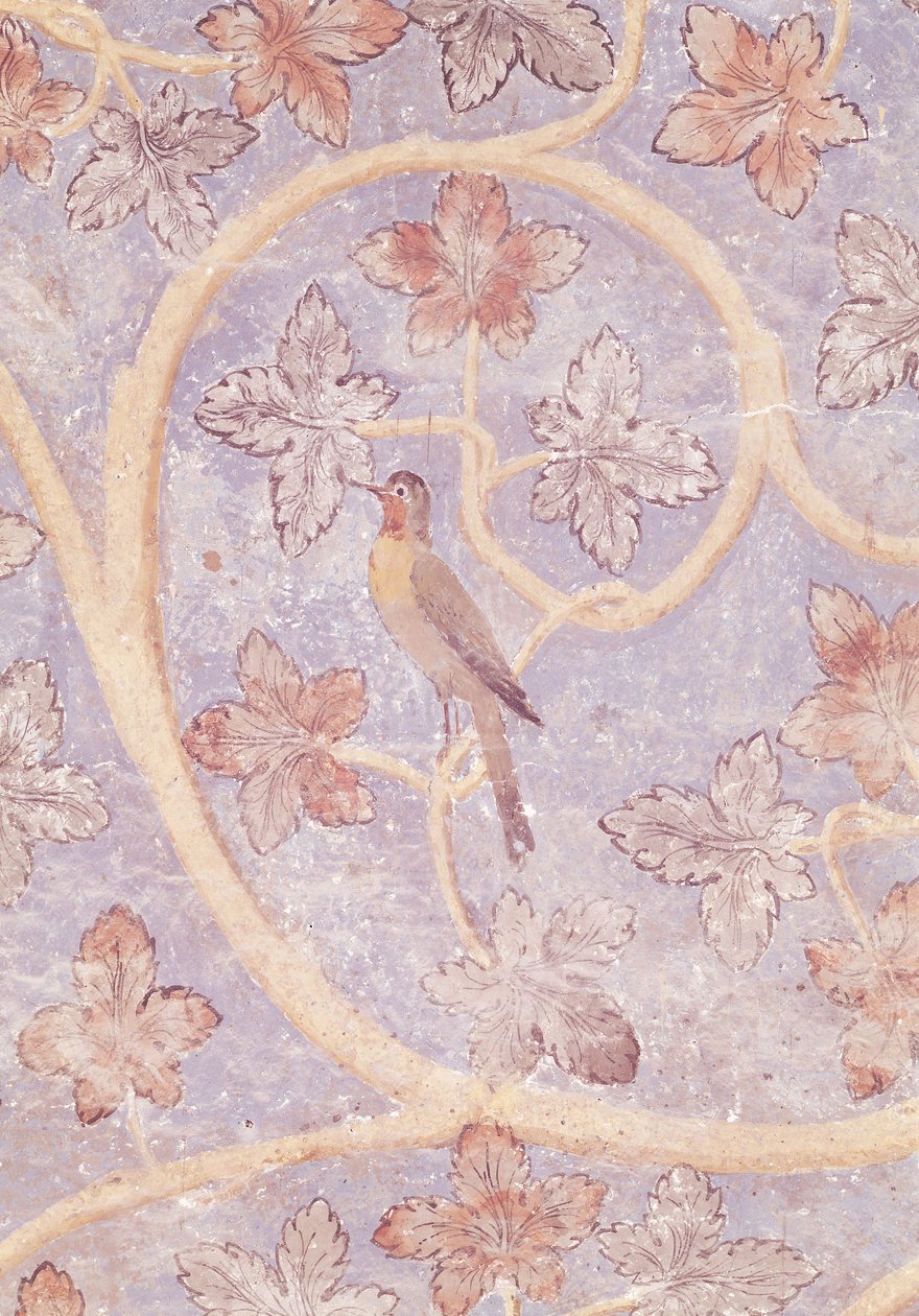 Detail ptáka z nástěnné dekorace ložnice papežů, kolem 1334-62 (viz také 154784) od French School