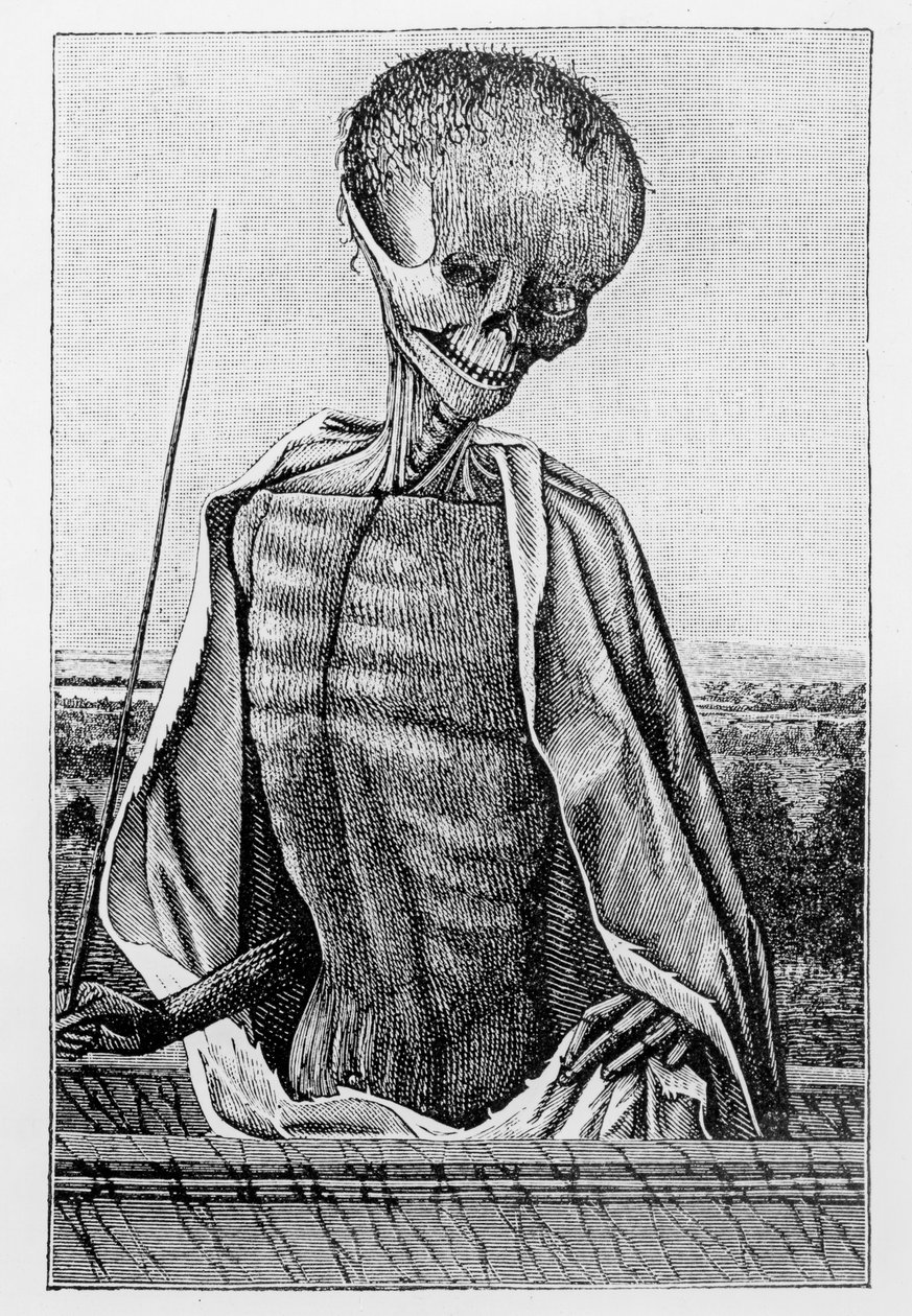 Doctor Death, z knihy hodin, ilustrace z vědy a literatury ve středověku a renesanci, napsal a vyryl Paul Lacroix, 1878 od French School