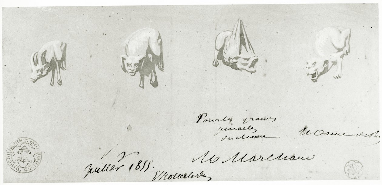 Kresba pro restaurování chrličů Notre Dame, 1855 od French School