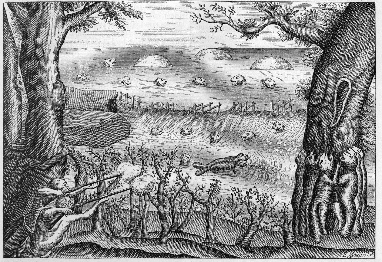 Rytina z roku 1738 v „Dobrodružství Clauda Lebeaua“ (Sr c Le Beau) 1738. od French School