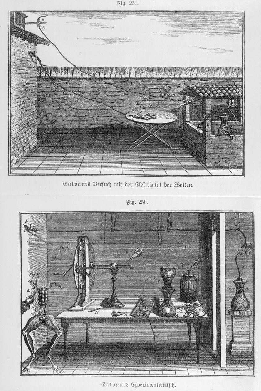 Experiment na žábách od Louise Galvaniho (1737-98) koncem 18. století od French School