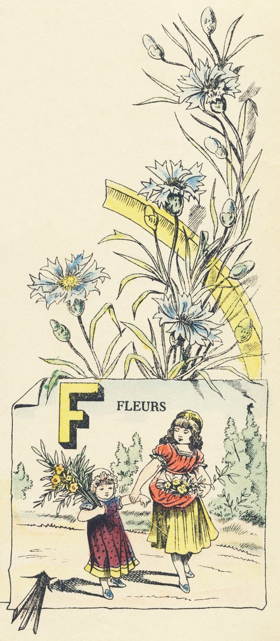 F: květiny od French School