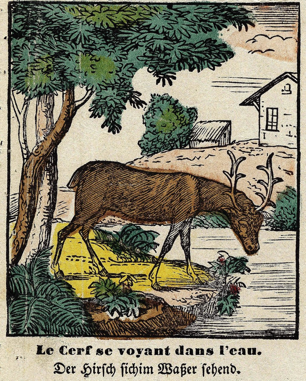 Bajky de La Fontaine: jelen se vidí ve vodě. Obrázek Epinal, první polovina 19. století od French School