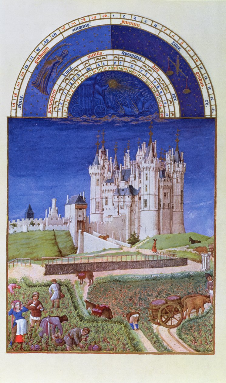 Faksimile září: sklizeň hroznů bratří Limbourgů z Tres Riches Heures du Duc de Berry (originál viz 8441) od French School