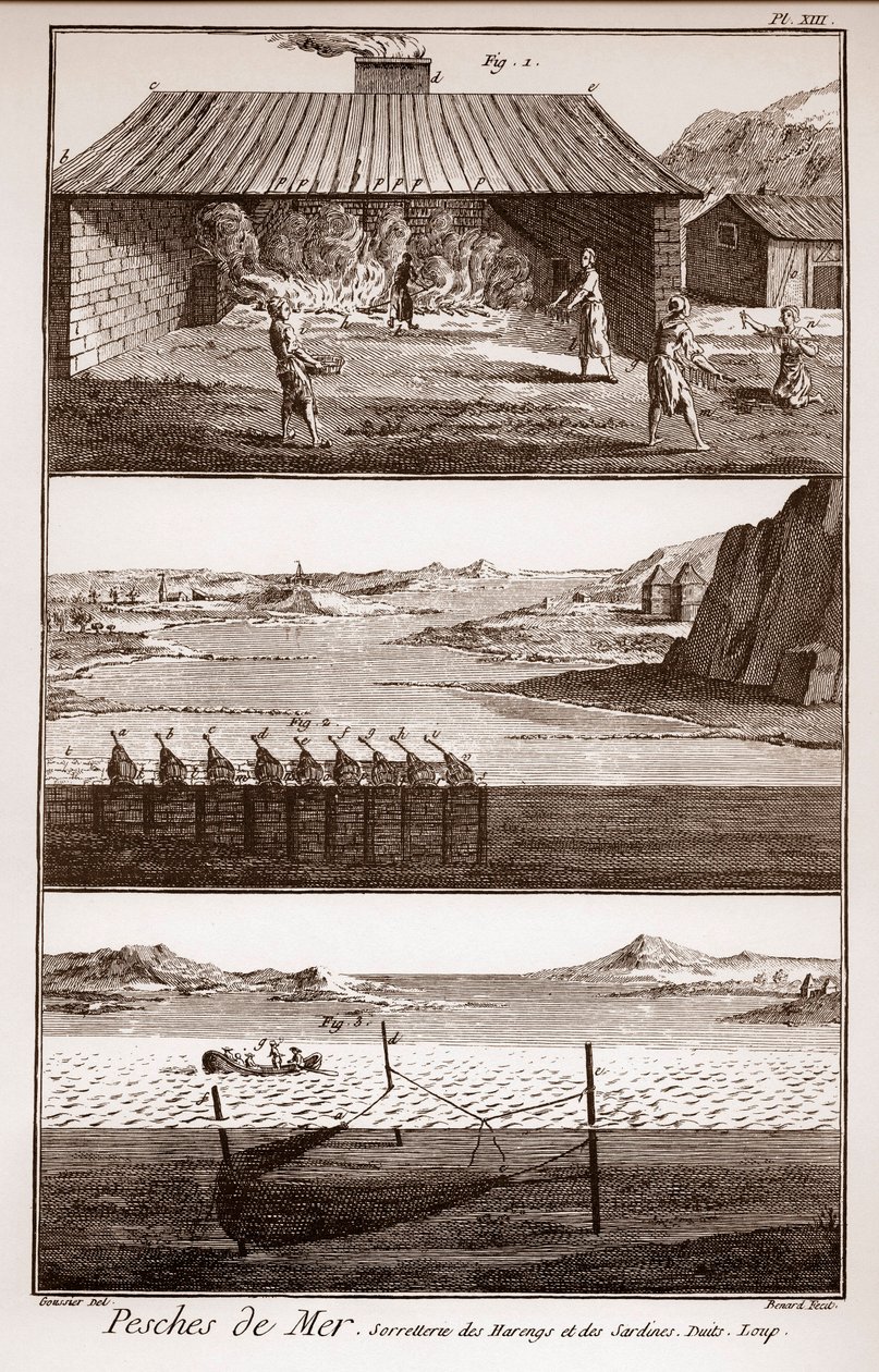 Rybaření, sledě a sardinky - Peches de Mer - Sorretterie des herring et des sardines - "" La Grande Encyclopédie, ou Dictionnaire Raisonne des Sciences, des Arts et des Metiers"" (Encyklopedie nebo slovník věd, umění a povolání) od Deni od French School