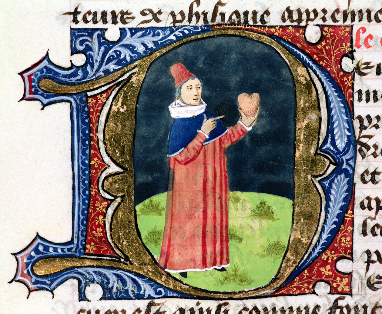 Fol.38v The Heart, z Traite de Medecine od Aldebrande de Florence, 1356 od French School