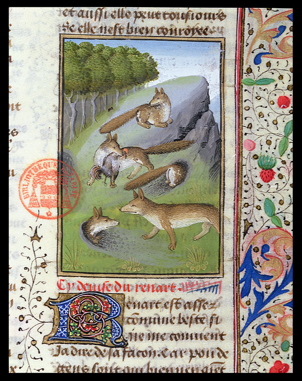 Lišky, z Livre de la Chasse od Gastona Phebuse od French School
