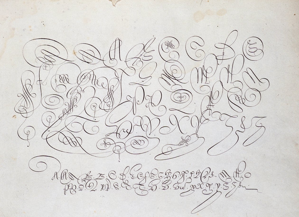Francouzská kaligrafie: Deska kapitálu, rytina Frisia, kalkografa krále od Roberta Vignona v zahradě písma kolem roku 1600. od French School