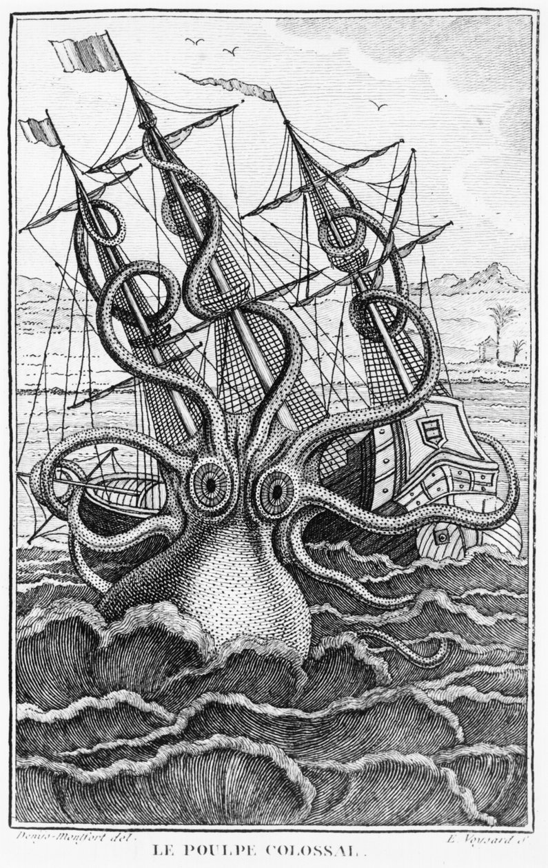 Obří chobotnice, ilustrace z LHistoire Naturelle Generale et Particuliere des Mollusques od Denyse-Montforta, c. 1802-03 od French School
