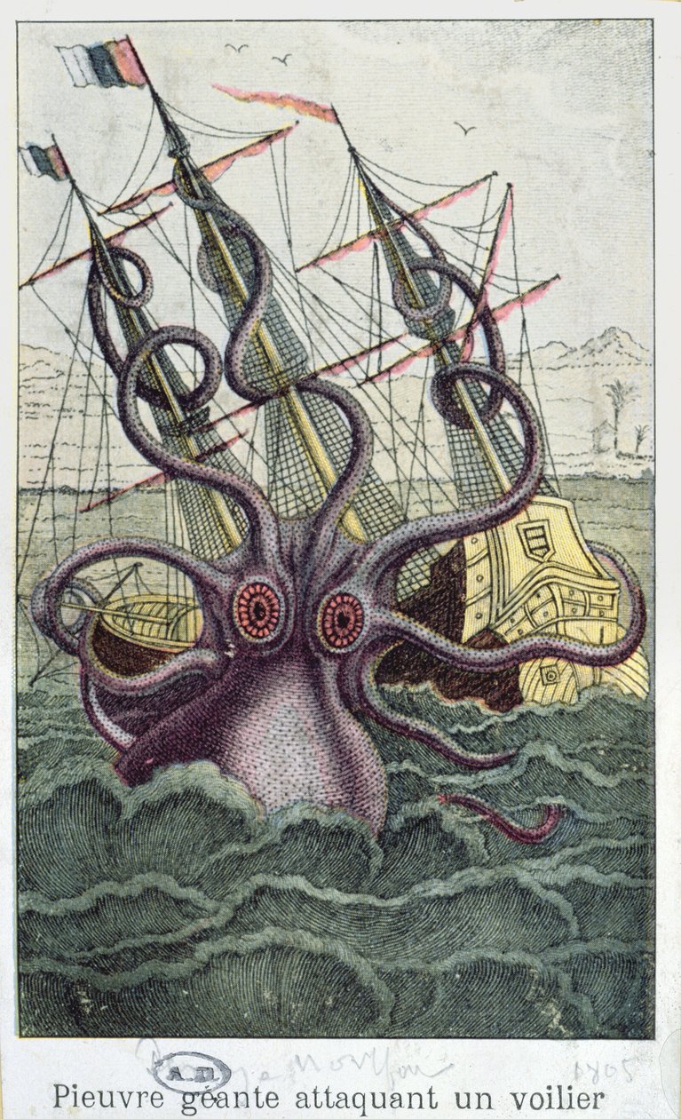 Obří chobotnice, ilustrace z LHistoire Naturelle Generale et Particuliere des Mollusques od Denyse-Montforta, c. 1802-03 od French School