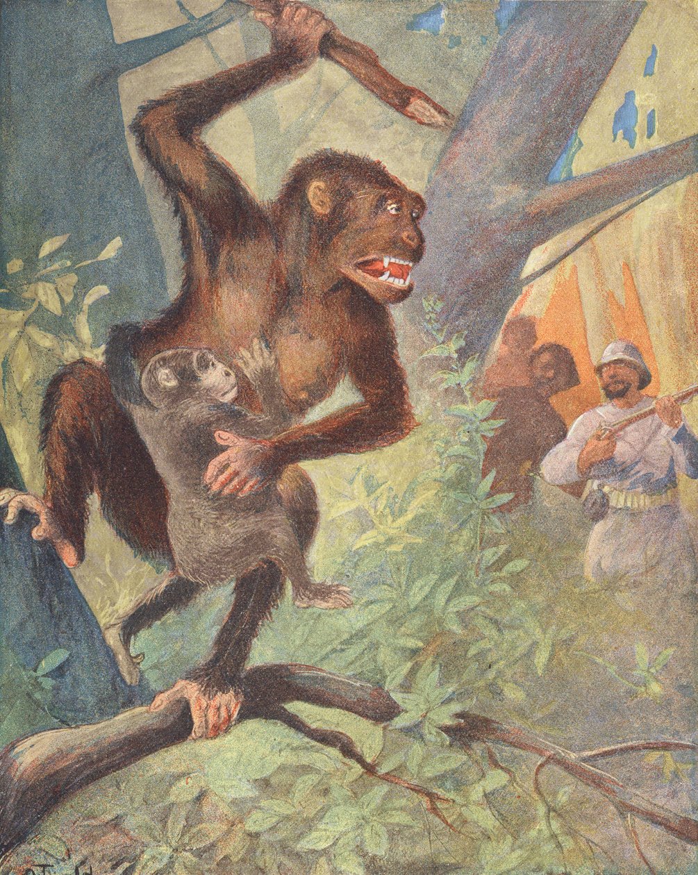 Gorily (barevná litografie) od French School