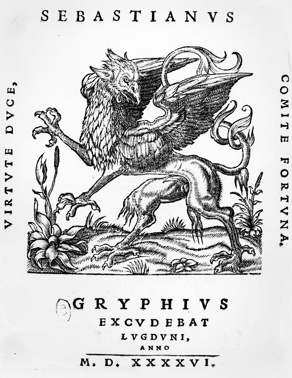 Znak tiskařů gryfů Sebastianus Gryphius, Lyon, 1546 od French School
