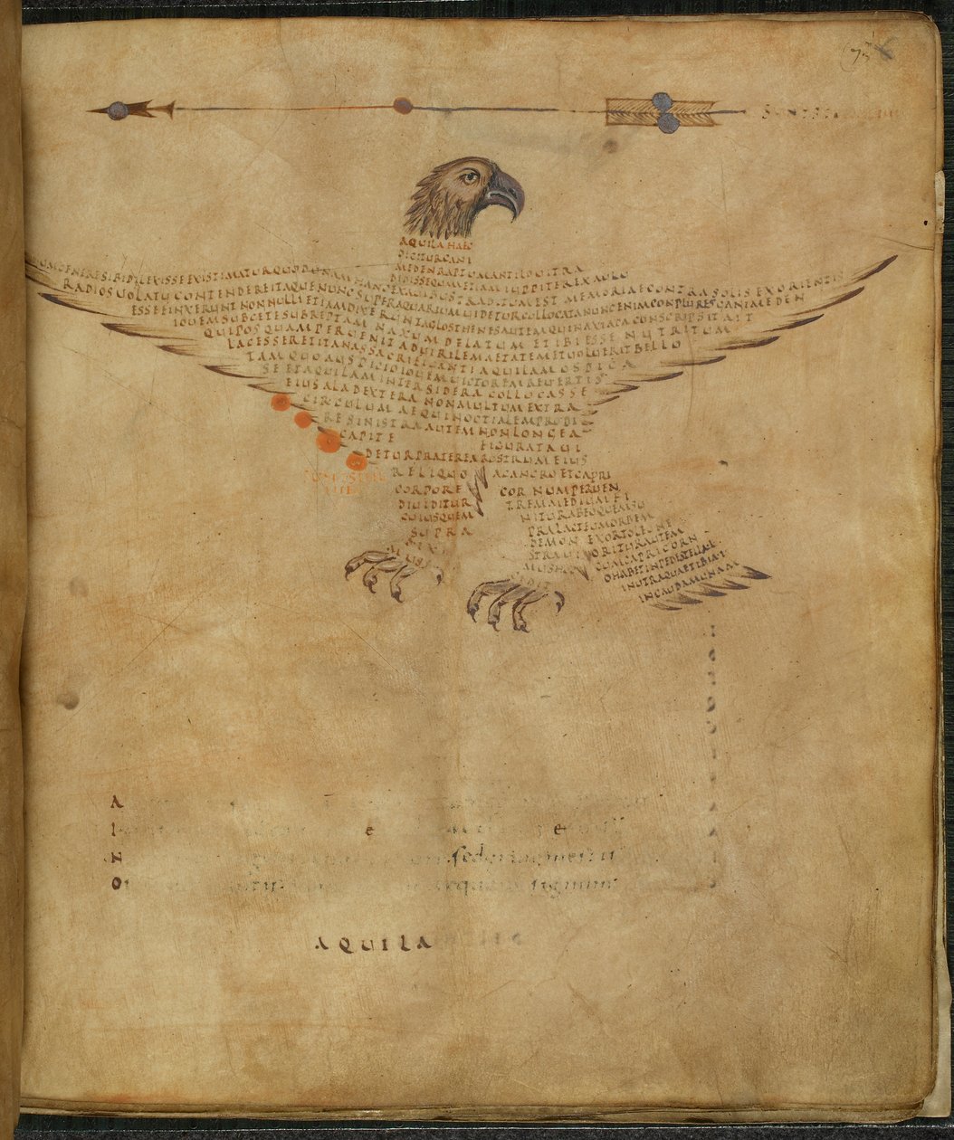 Harley 647, f.7 Ilustrace souhvězdí 