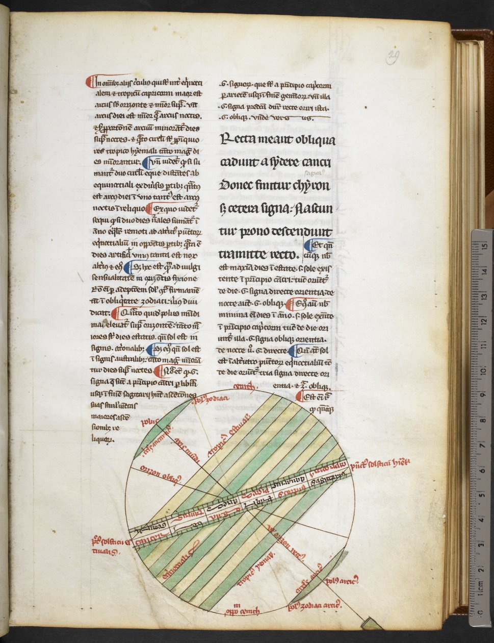 Harley MS 3647 f.29 z 