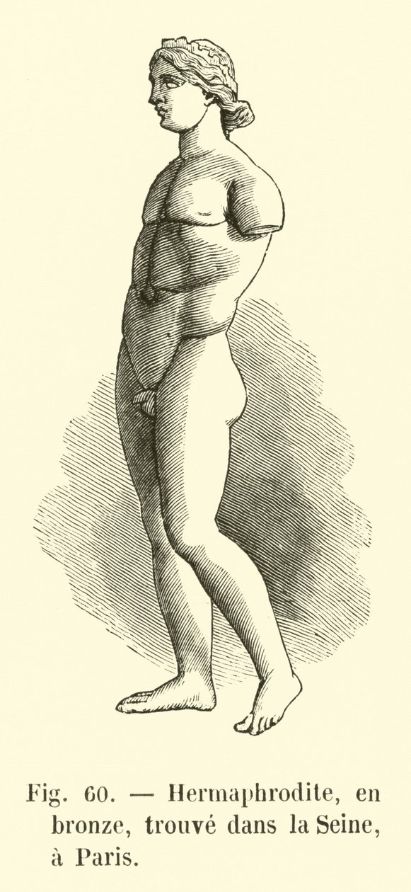Bronzový hermafrodit nalezený v Seině v Paříži (rytina) od French School