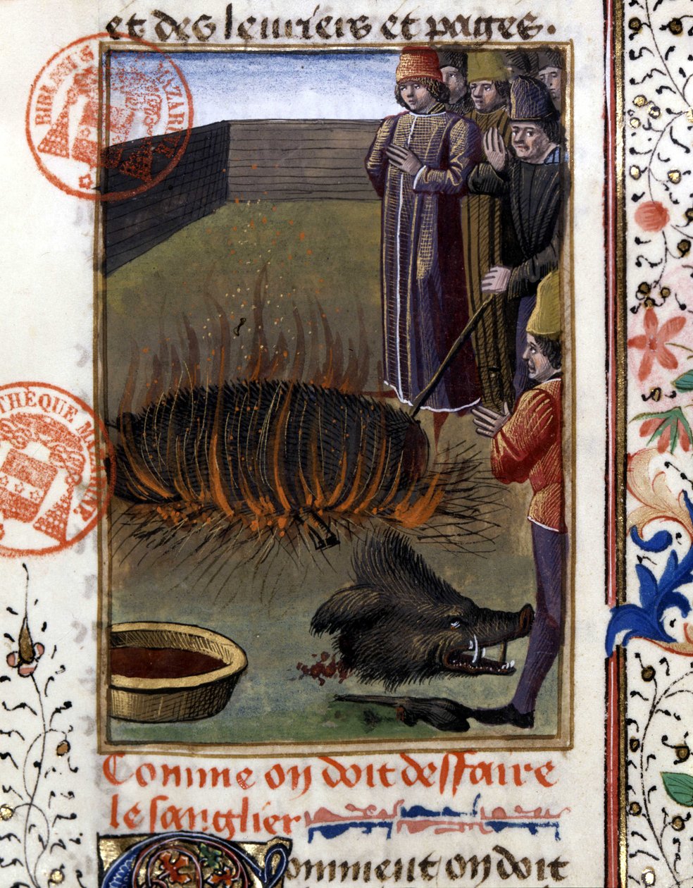 Jak depecerovat kance - v „“ Lovecké knize Gastona Phoebuse, hraběte z Foix, Lord of Bearn““ od French School