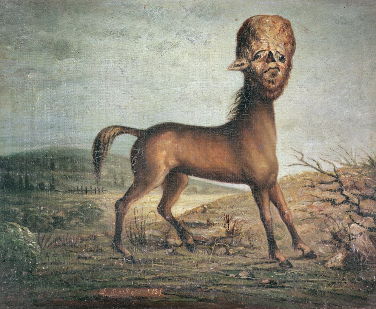 Hydrocefalická klisna, narozená 21. ledna 1821, 1835 od French School