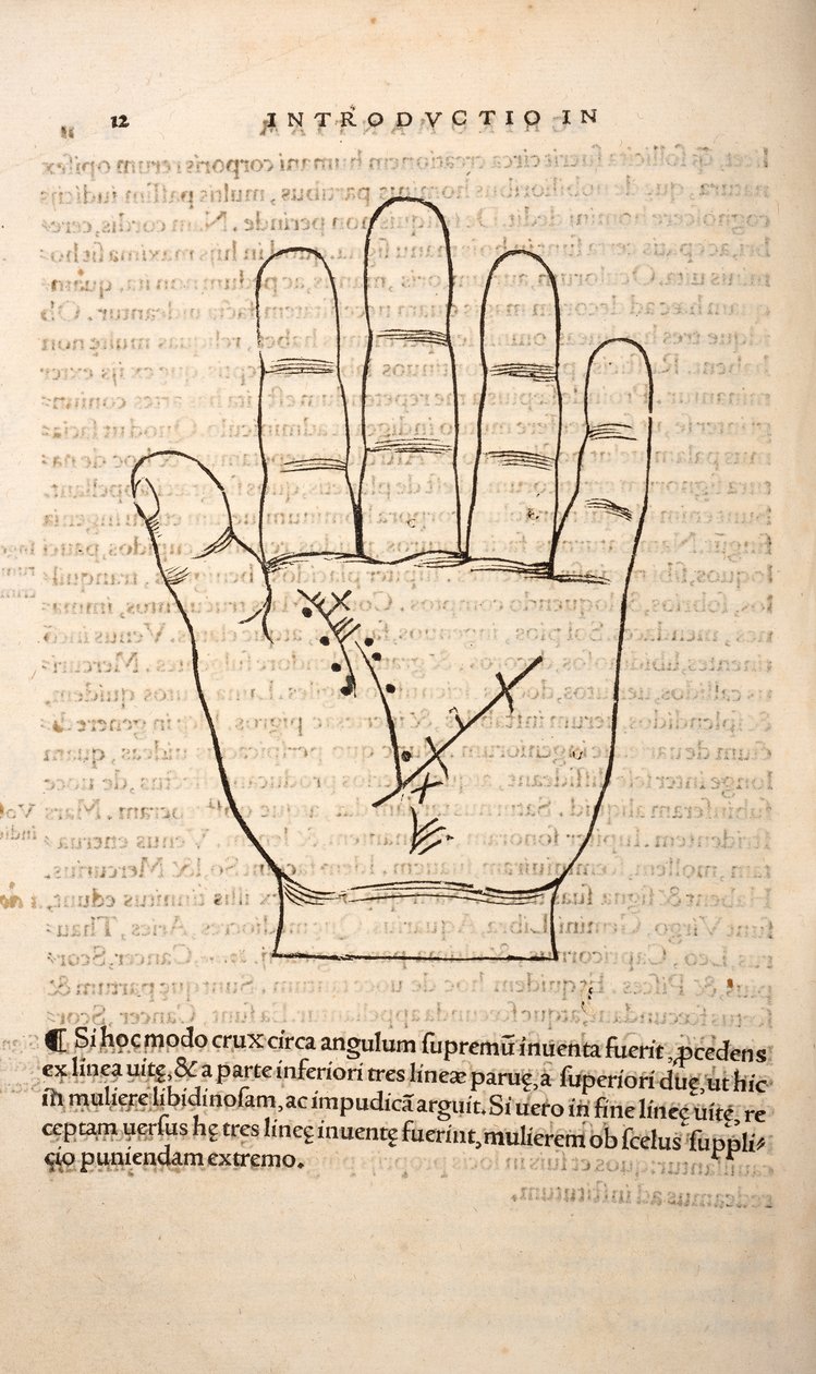 Ilustrace z Chiromantia od Joannes Indagioe, Štrasburk, 1531 (tisk a rytina) od French School